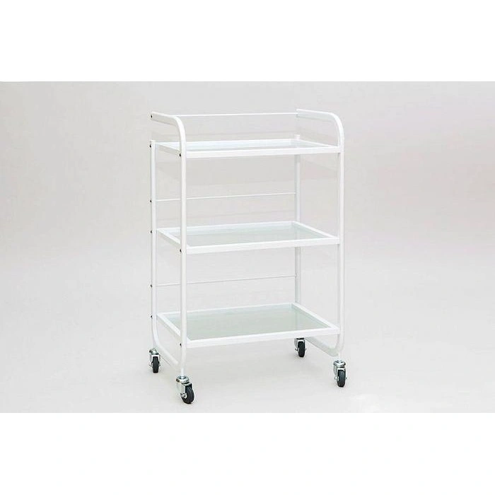 Beautician'S Trolley Sd-3031
