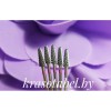 Carbide Alloy With Pink Notch Kazan (906001)