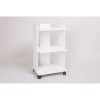 Cosmetologist'S Trolley Sk-01