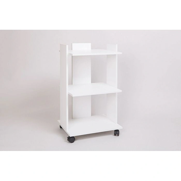 Cosmetologist'S Trolley Sk-01
