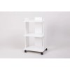Cosmetologist'S Trolley Sk-01