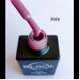 Gel Polish Black Asia, 12Ml