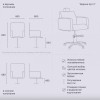 Hairdressing Chair 