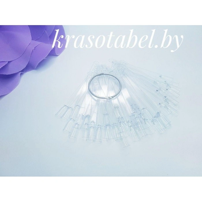 Palette-Fan On A Ring Transparent