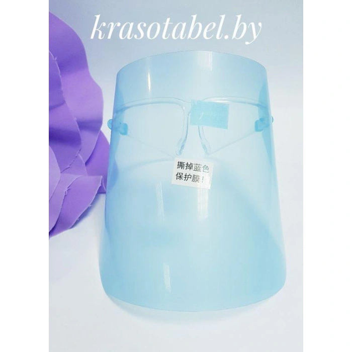 Protective Screen For The Master