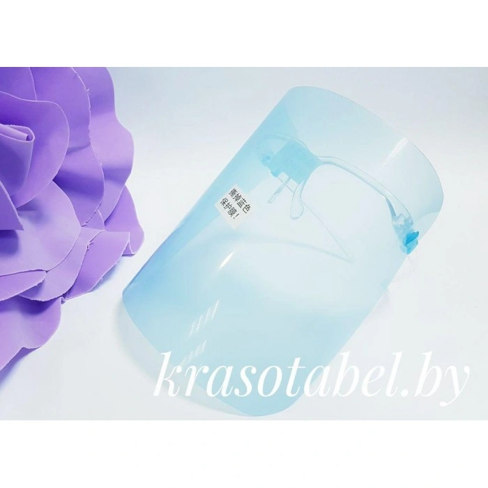 Protective Screen For The Master