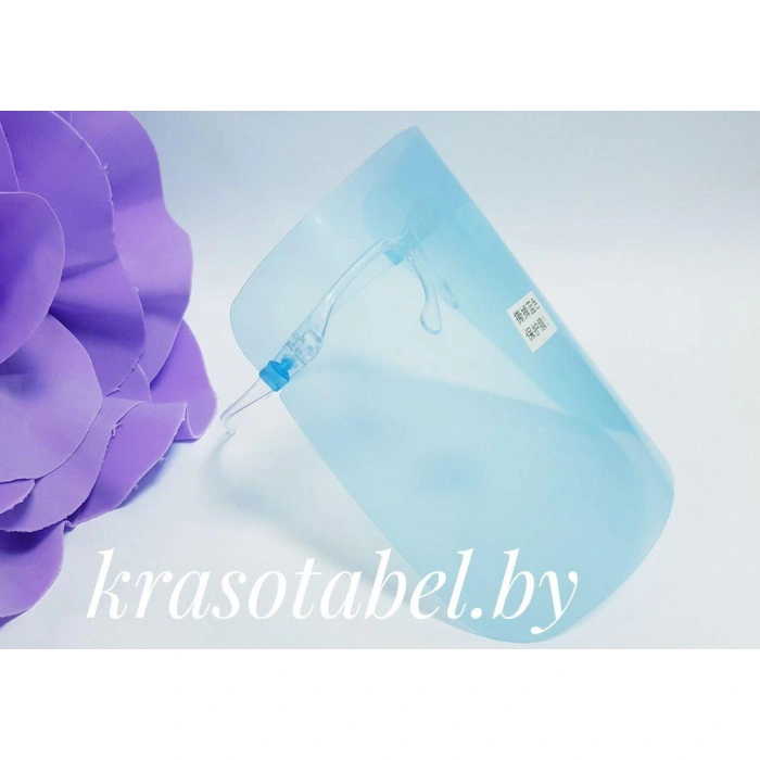 Protective Screen For The Master