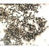 Swarowski Rhinestones Packaged In 100 Pcs. (In A Jar)